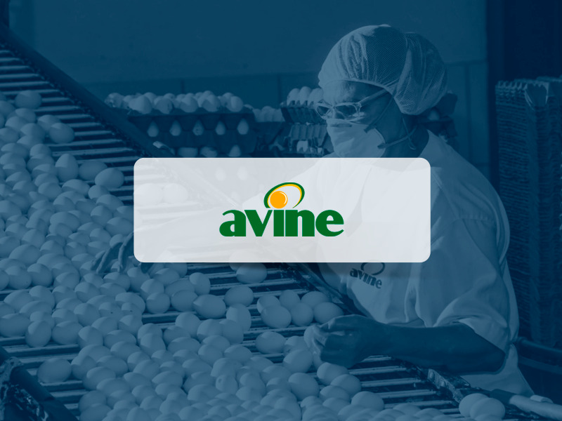 Como a AVINE está se destacando em inovação na indústria com a Gestão de Processos