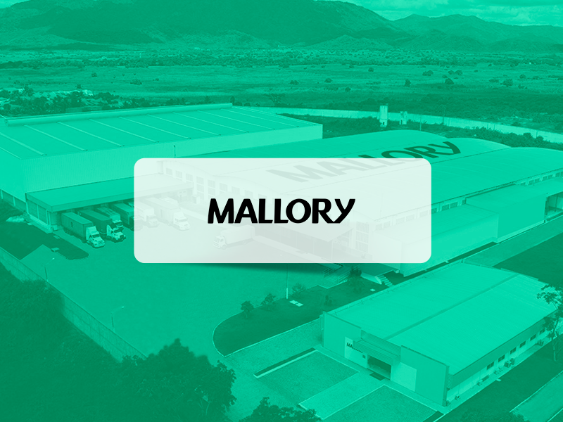 Automação e robotização de processos na Mallory